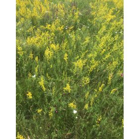 Természetközeli gyepek létrehozásához magkeverék