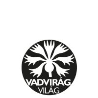 Állandó kultúrák sorközeiben