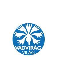 Szántóterületek gyeptelepítéséhez magkeverék